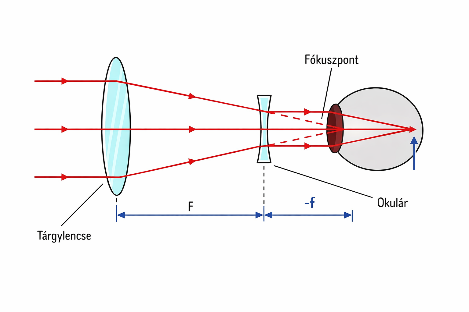 A Galilei távcső felépítésének vázlata